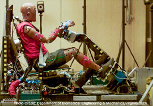 Photo Credit: Department of Biomedical Engineering & Mechanics, Virginia Tech